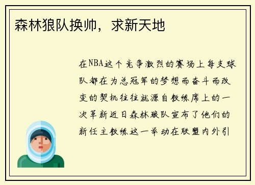 森林狼队换帅，求新天地