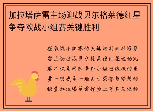 加拉塔萨雷主场迎战贝尔格莱德红星争夺欧战小组赛关键胜利