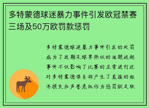 多特蒙德球迷暴力事件引发欧冠禁赛三场及50万欧罚款惩罚