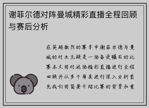 谢菲尔德对阵曼城精彩直播全程回顾与赛后分析