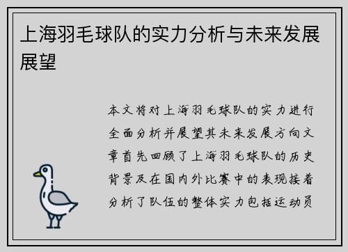 上海羽毛球队的实力分析与未来发展展望